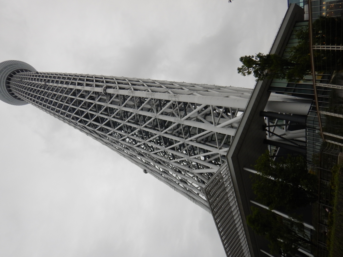 f:id:erio14:20190710032658j:plain