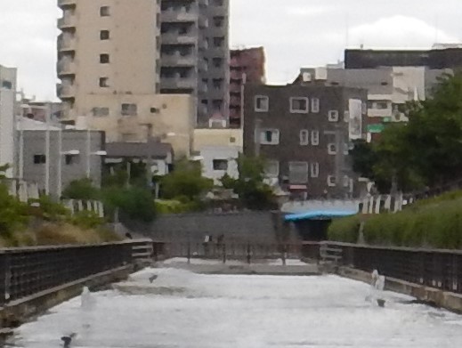 f:id:erio14:20190721002312j:plain
