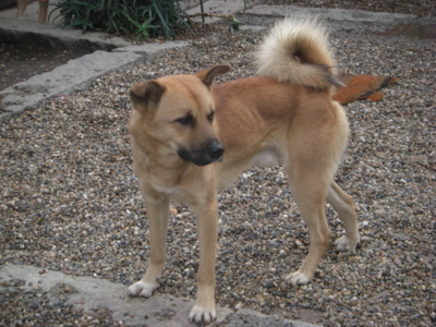 f:id:eriosyce:20121028153142j:image:left