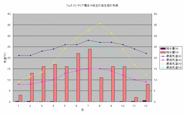 f:id:eriosyce:20131031085222g:image:left