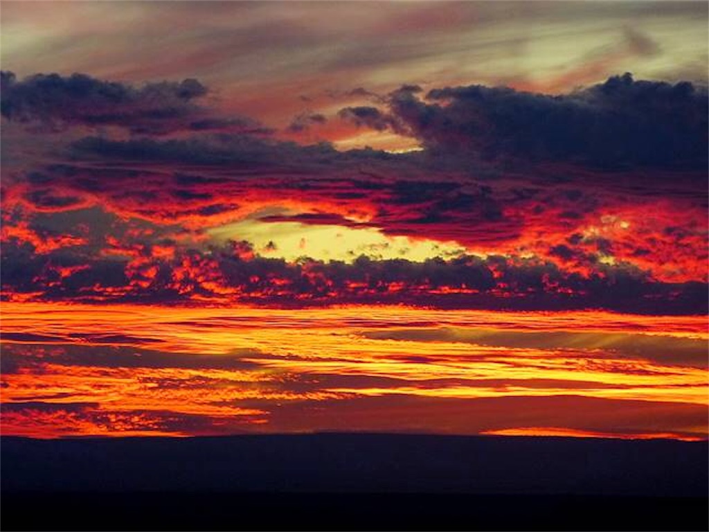 f:id:eripyonpyon:20190131091628j:image