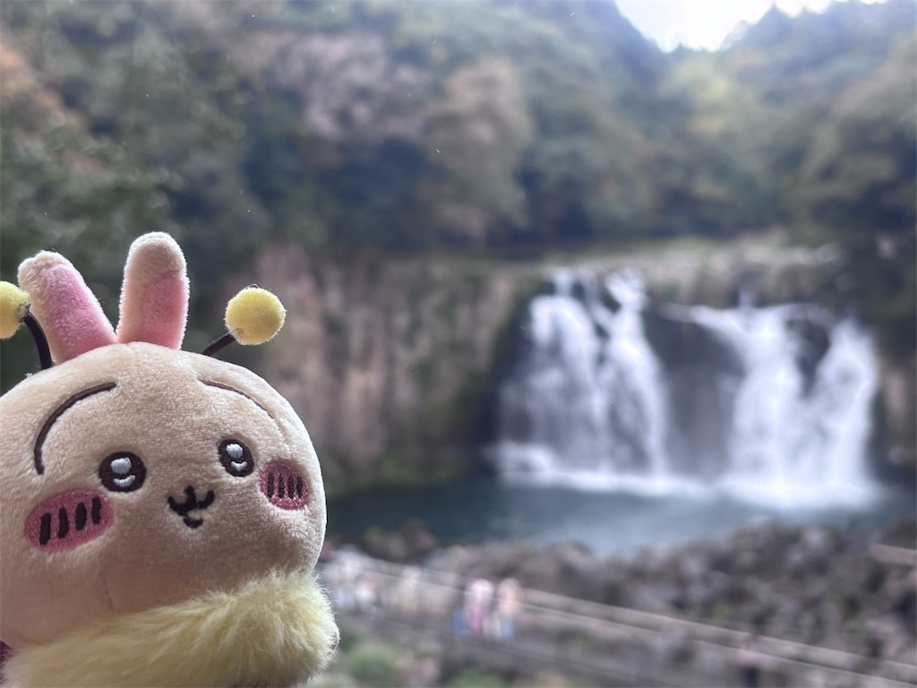 f:id:eririn-rin:20251202202651j:image