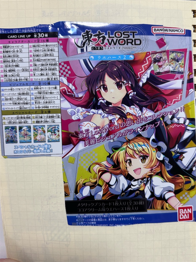 f:id:eririn-rin:20251206114532j:image f:id:eririn-rin:20251206114532j:image