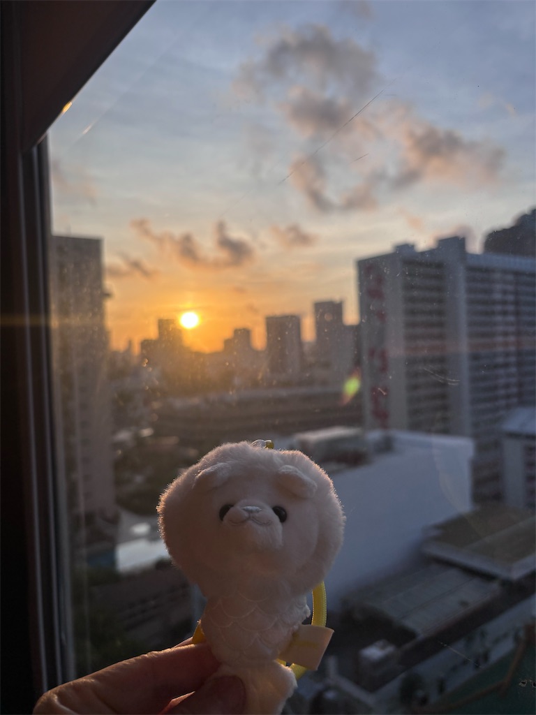 f:id:eririn-rin:20260806172557j:image