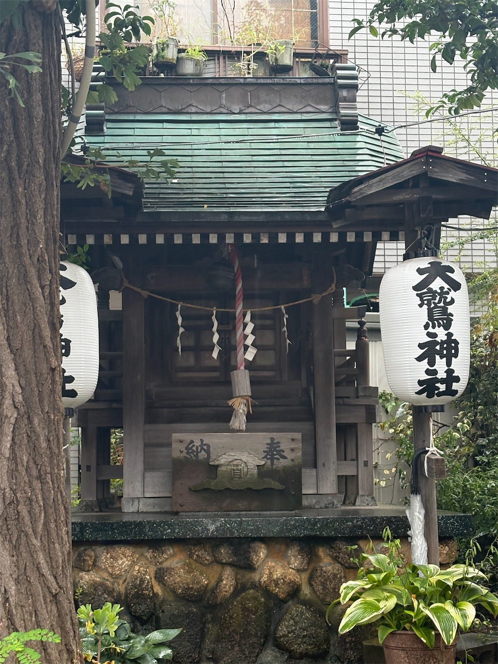 f:id:eririn-rin:20261014180028j:image