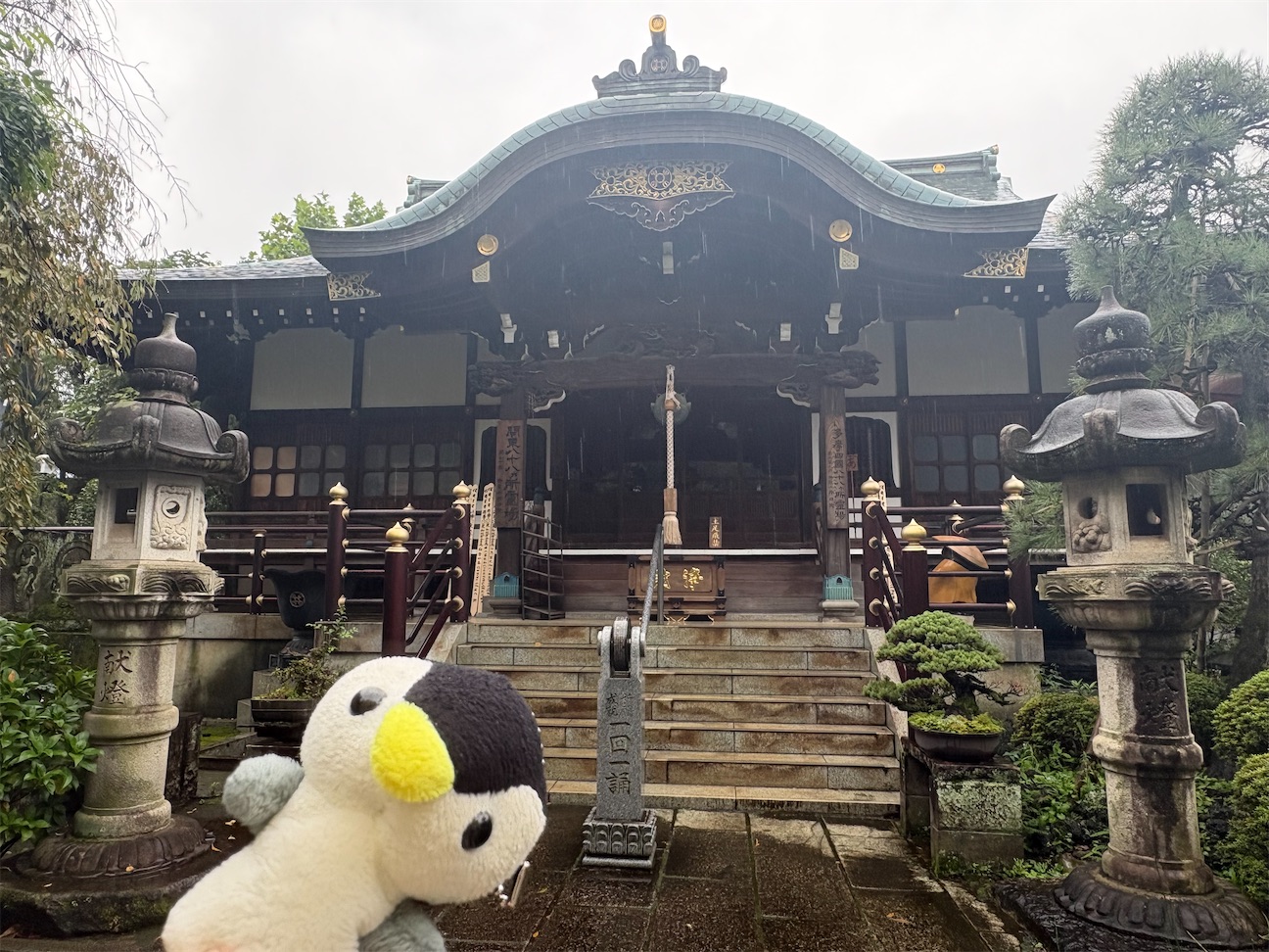 f:id:eririn-rin:20261014180040j:image
