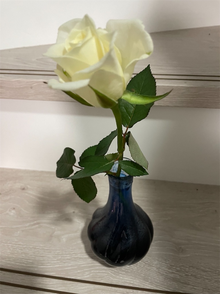f:id:eritako:20211207133542j:image