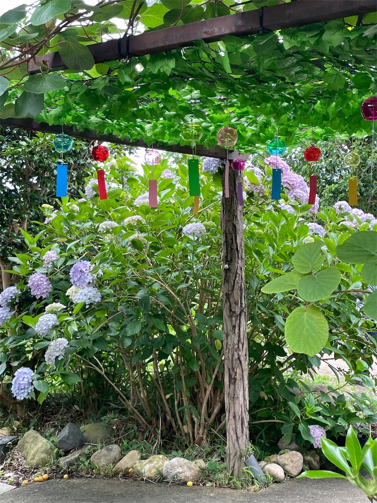 f:id:eritako:20240614234924j:image