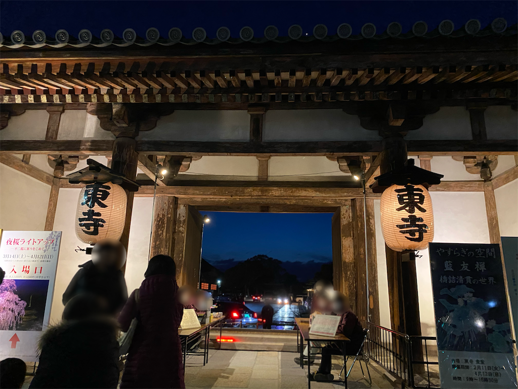 年お花見 東寺 夜桜ライトアップ 金堂 講堂夜間特別拝観 Erieriのまいにち