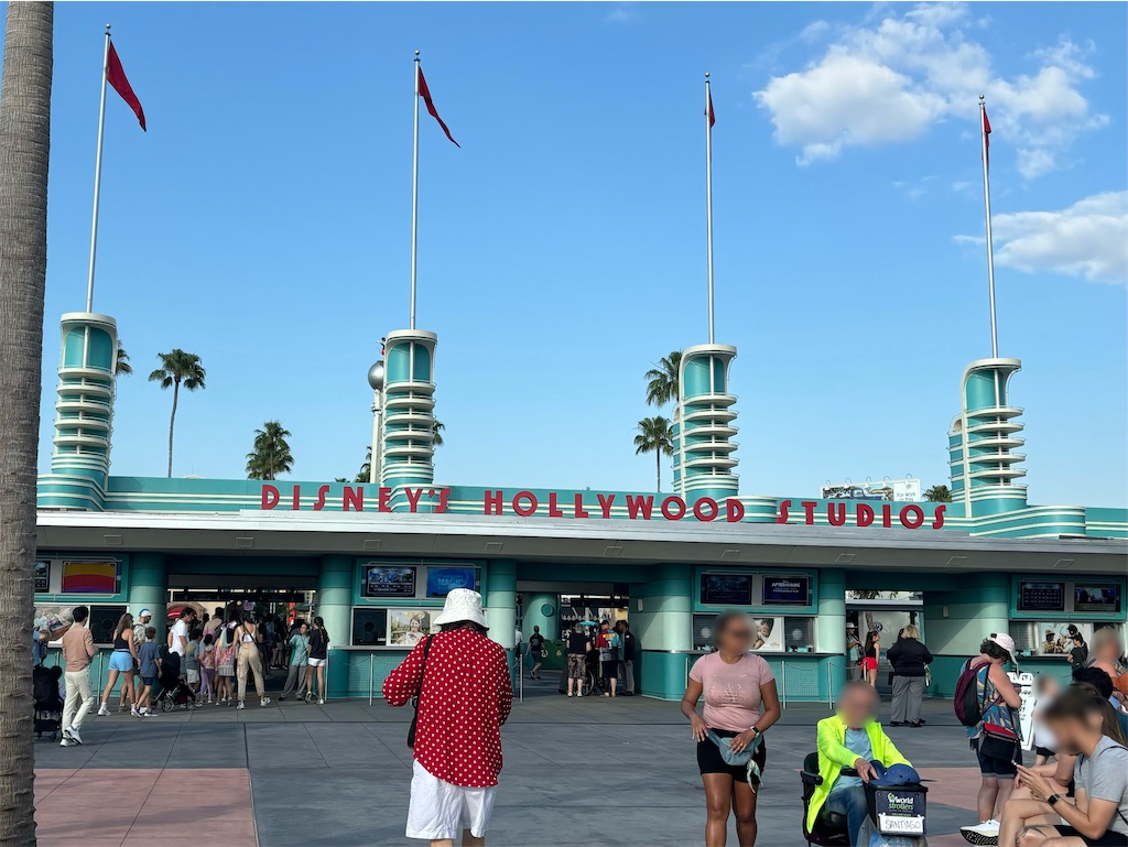 ディズニー ハリウッドスタジオ ラグ★新品 ディズニーワールドハリウッドスタジオ ハリスタチップとデール