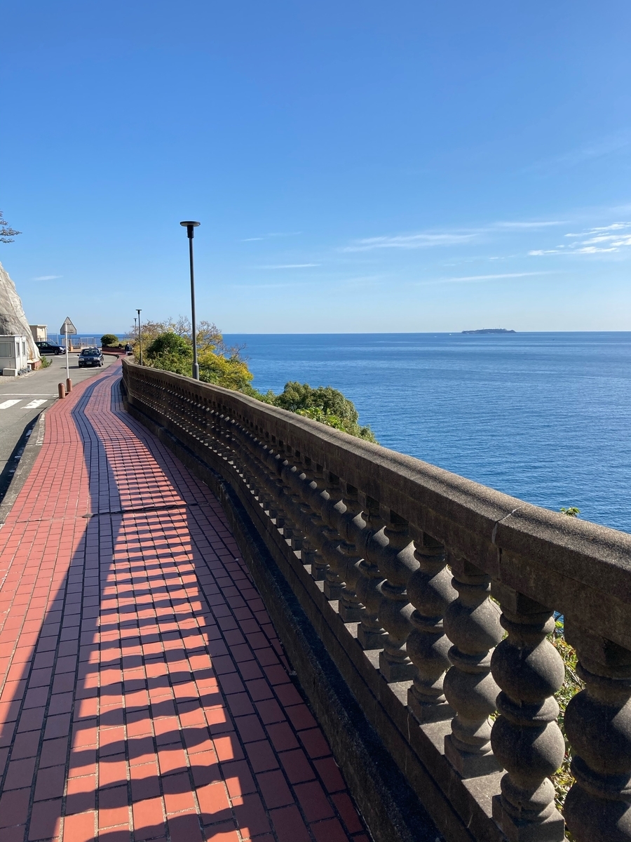 f:id:eriza_eriza:20201112222240j:plain