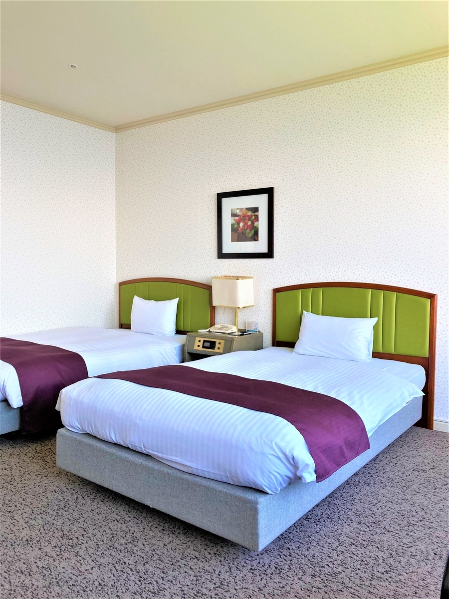 f:id:eriza_eriza:20201112235710j:plain