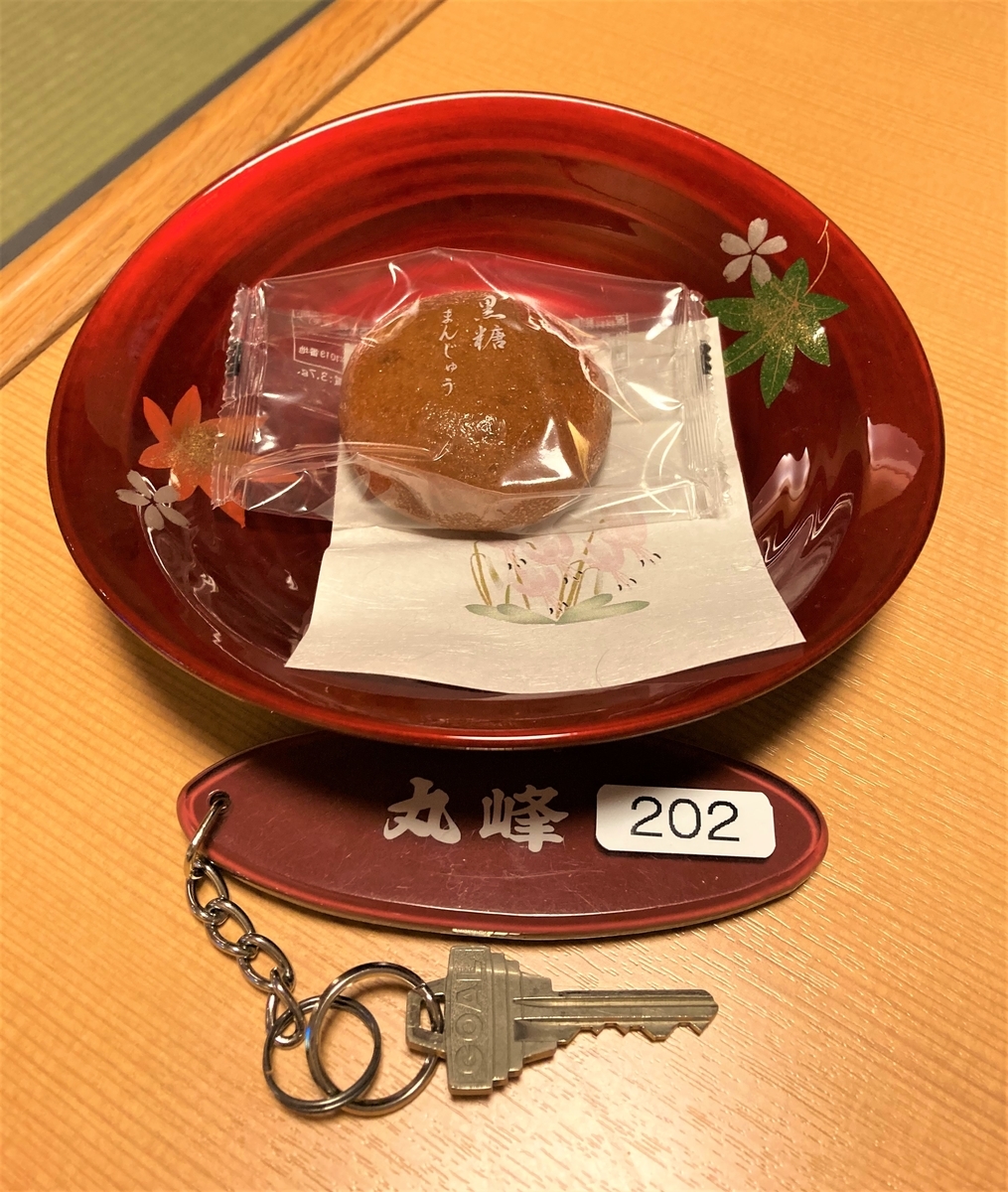 f:id:eriza_eriza:20210411214604j:plain