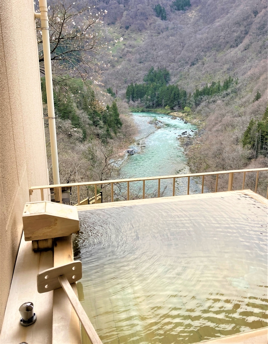 f:id:eriza_eriza:20210411223628j:plain