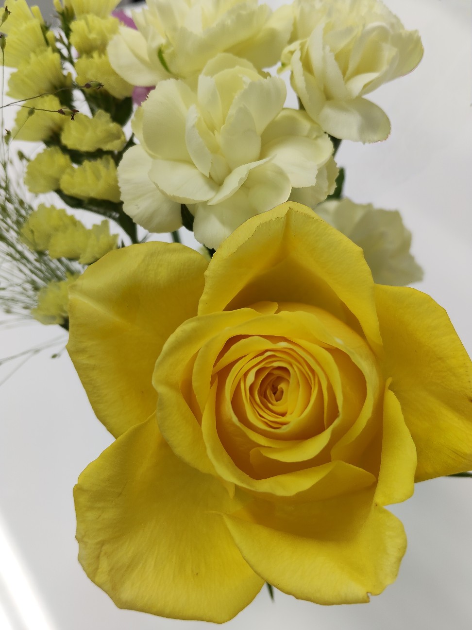 f:id:eriza_eriza:20260326133626j:image f:id:eriza_eriza:20260326133626j:image