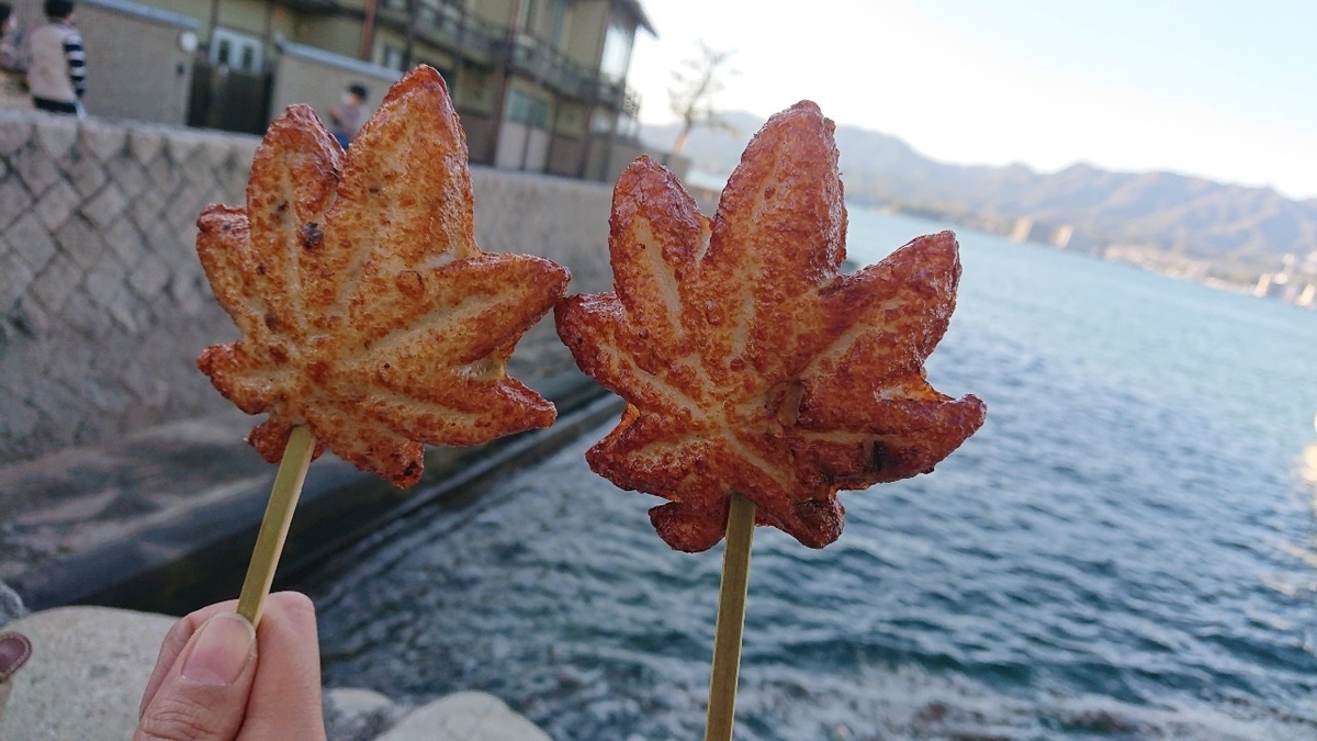 f:id:erizabethn:20210117002340j:plain