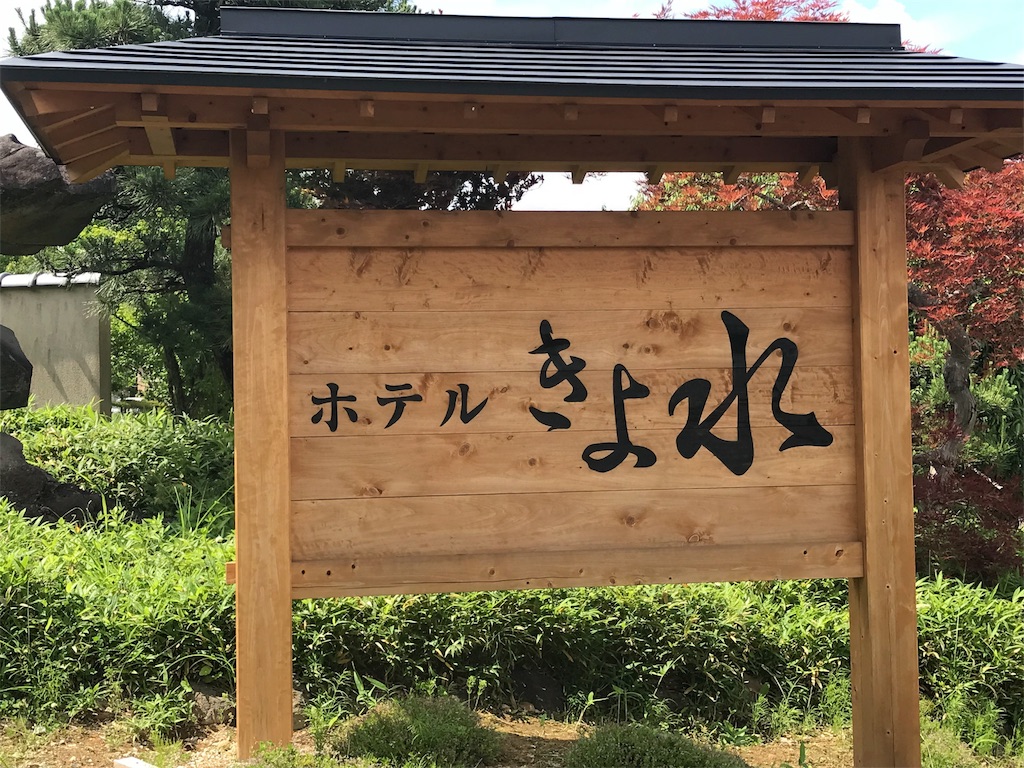 f:id:erizasennsei:20190702203033j:image
