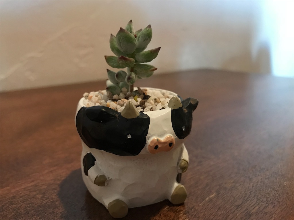 f:id:erizasennsei:20190702203330j:image