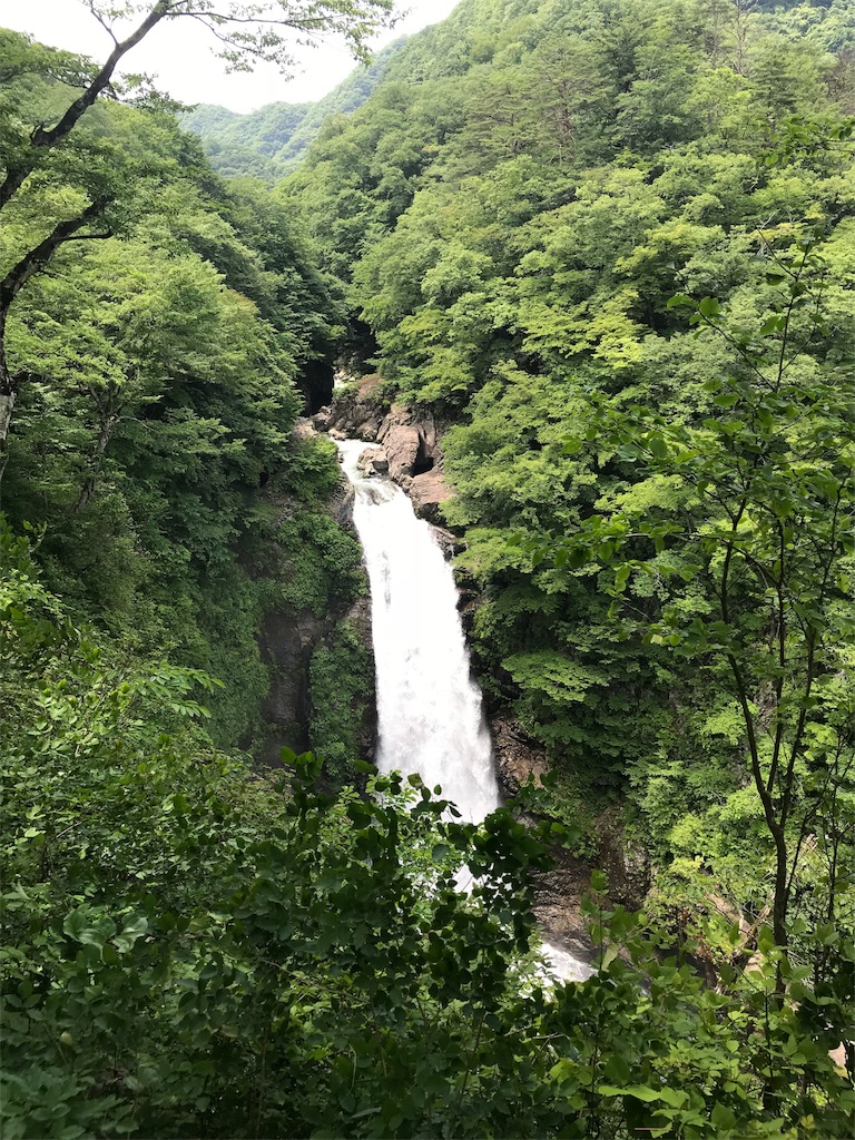 f:id:erizasennsei:20190702205751j:image