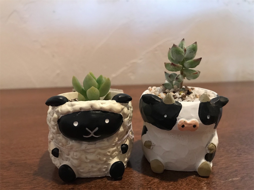 f:id:erizasennsei:20190702212332j:image