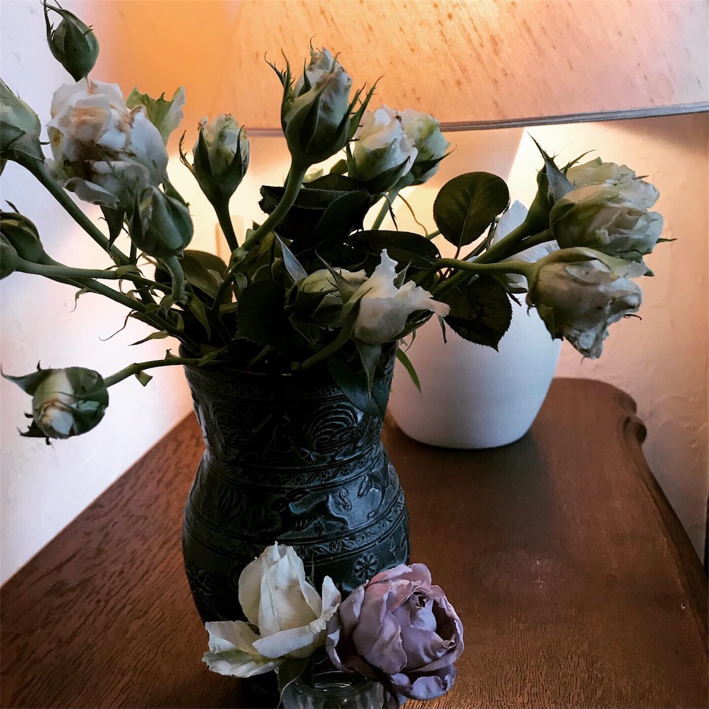 f:id:erizasennsei:20190702212603j:image