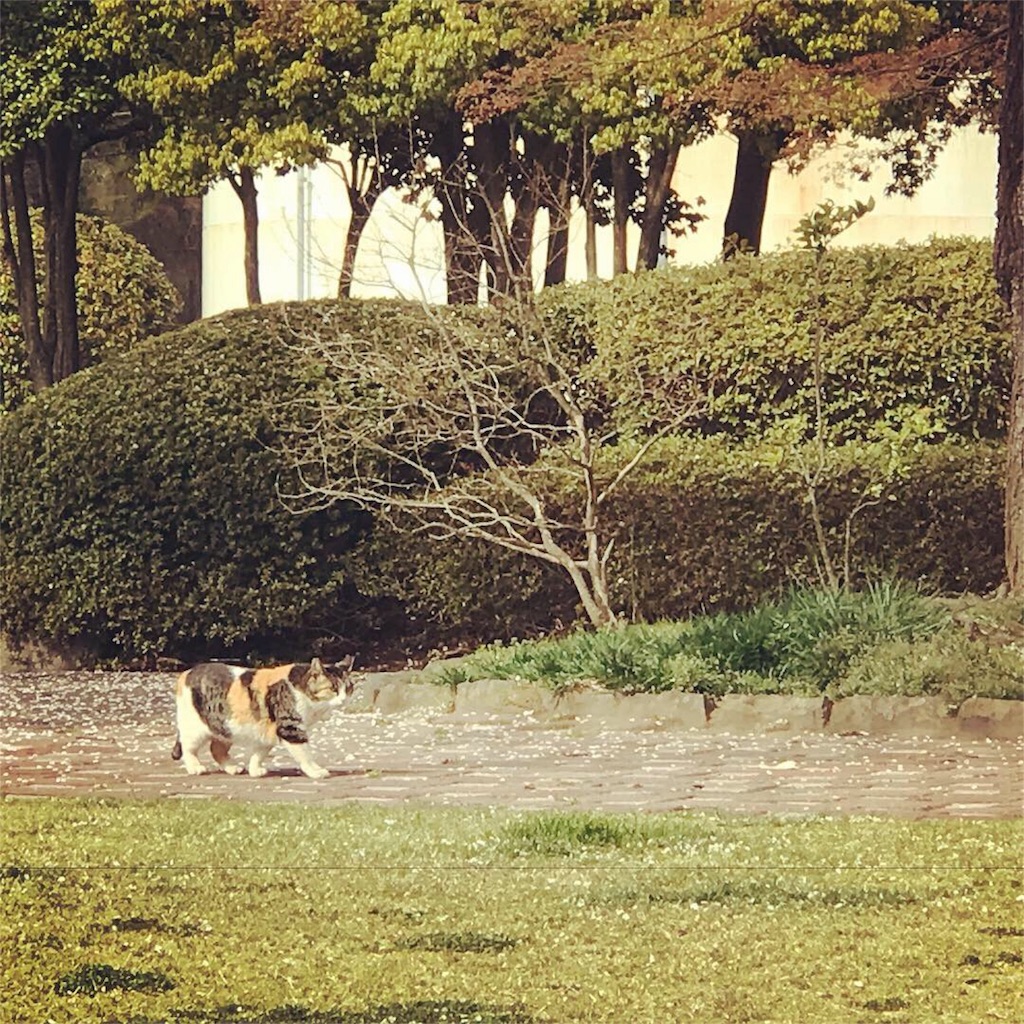 f:id:erizasennsei:20191207064720j:image