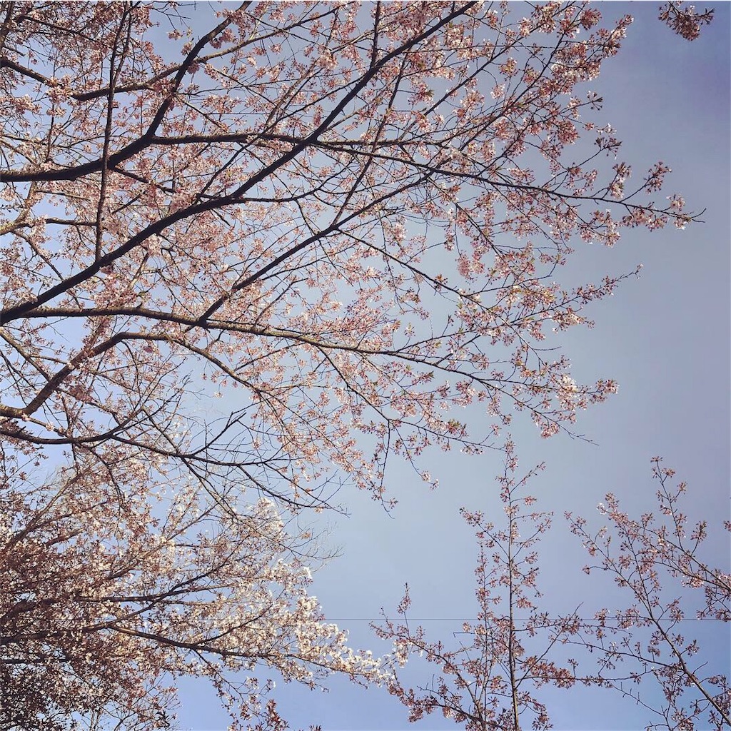 f:id:erizasennsei:20191207064733j:image