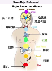 f:id:erohimaya:20191010121531p:plain f:id:erohimaya:20191010121531p:plain