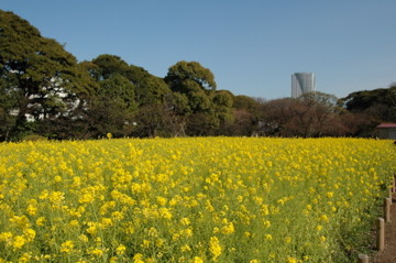 f:id:eroneko:20100403184658j:image:left f:id:eroneko:20100403184658j:image:left