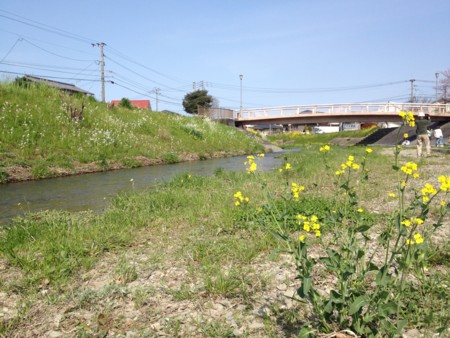 f:id:eroneko:20150329144626j:image