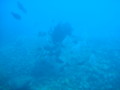 20091221085455