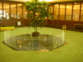 20100202115222