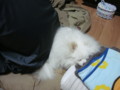 20100202122751