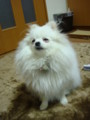 20100202122758