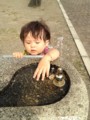 20121010225709