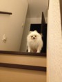 20121010233040