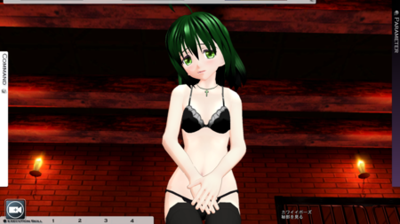 f:id:erra:20110212234945p:image