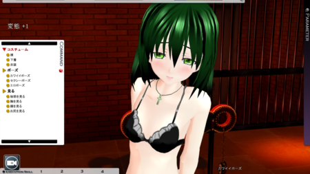 f:id:erra:20110212234949p:image