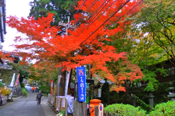 f:id:erra:20121208223038p:image f:id:erra:20121208223038p:image