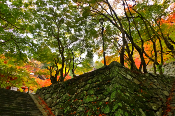 f:id:erra:20121208223040p:image f:id:erra:20121208223040p:image