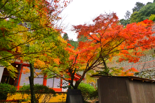 f:id:erra:20121208223041p:image f:id:erra:20121208223041p:image
