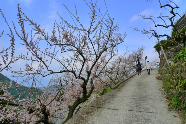 f:id:erra:20130406220031p:image f:id:erra:20130406220031p:image