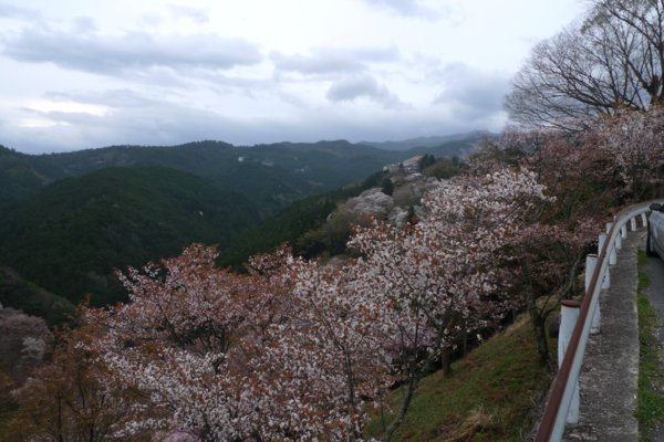 f:id:erra:20130406220032p:image f:id:erra:20130406220032p:image