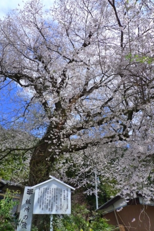 f:id:erra:20130505230137j:image