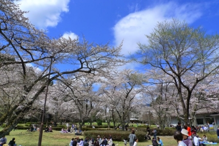 f:id:erra:20130505230138j:image