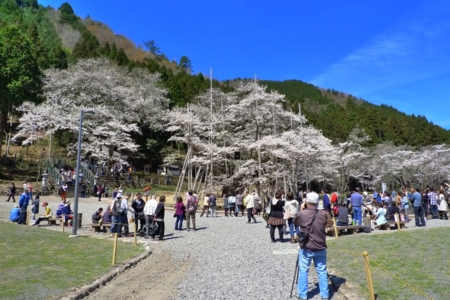 f:id:erra:20130505230139j:image