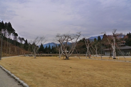 f:id:erra:20130505230140j:image