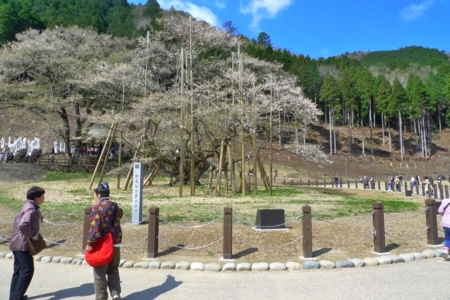 f:id:erra:20130505230141j:image