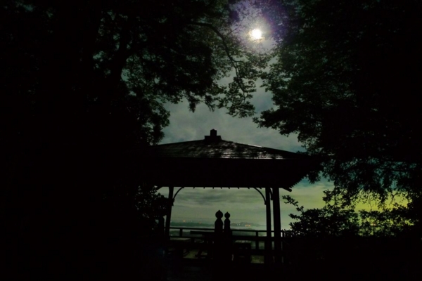 f:id:erra:20131003184143j:image