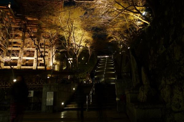 f:id:erra:20140316220815j:image